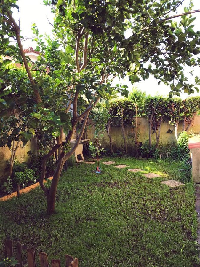 Domus Afrodite Anzio Ngoại thất bức ảnh